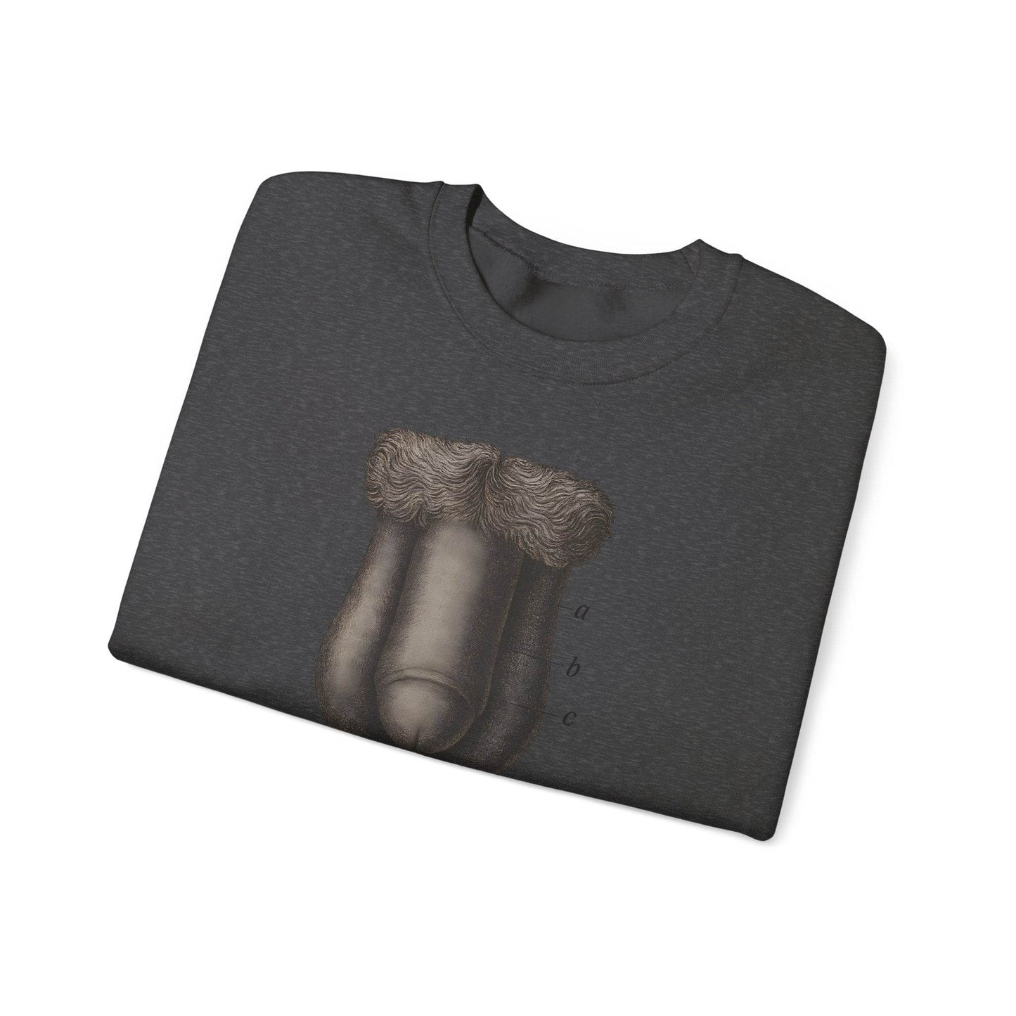 Anatomie Sweatshirt – Fig. 87: Die männlichen äußeren Geschlechtsorgane | Bildungswitz & Stil - True Insights