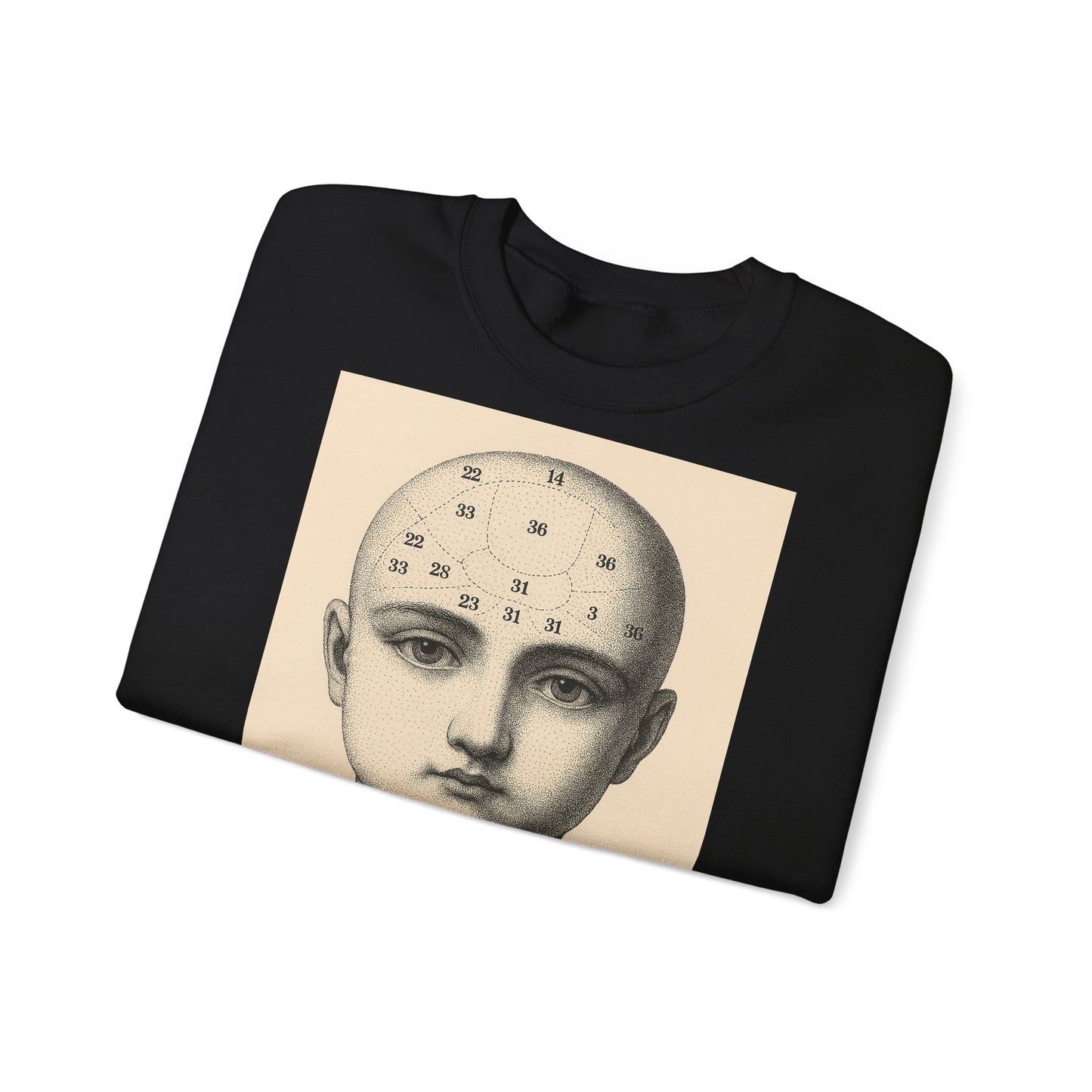 Vintage Motiv – Phrenologie Sweatshirt – Vintage-Schädelstudie „Fig. 12“ | True Insights Design mit Humor