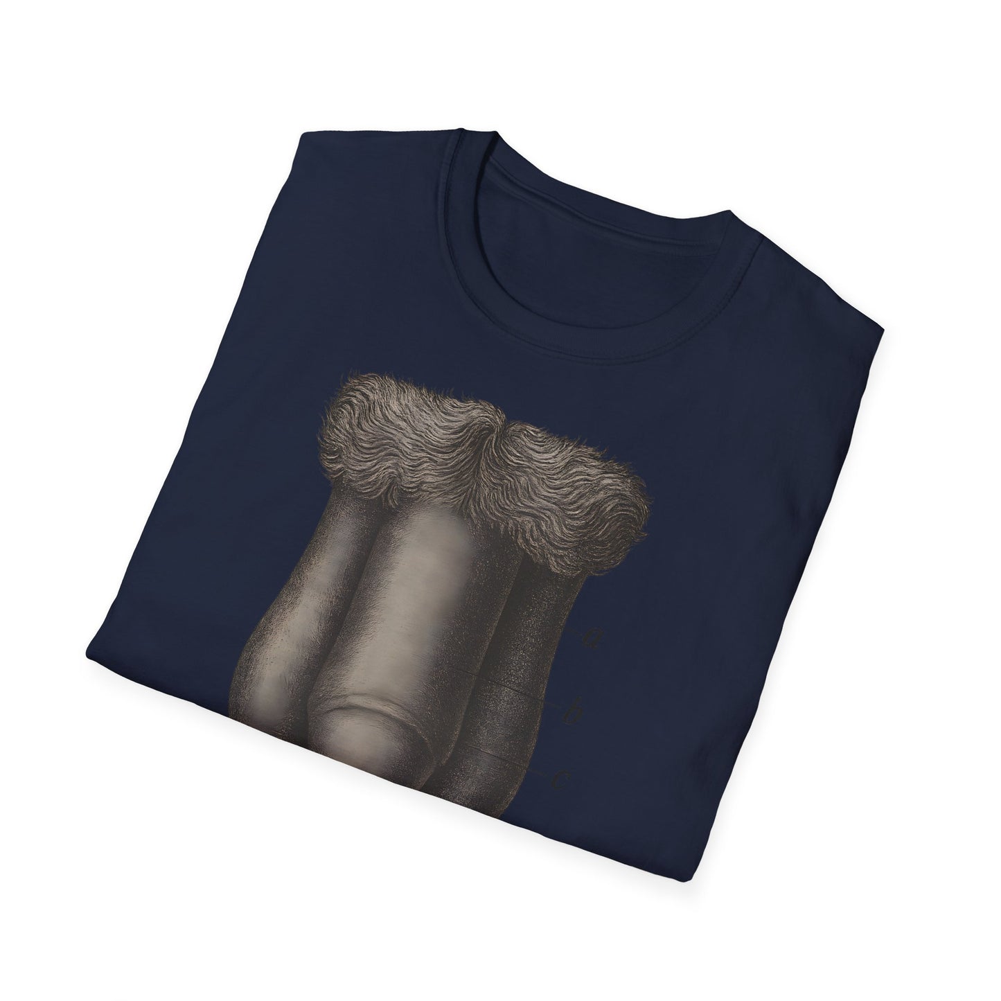 T-Shirt: „Fig. 87 – Die männlichen äußeren Geschlechtsorgane“ – Freches Satire-Design für mutige Statements | True Insights