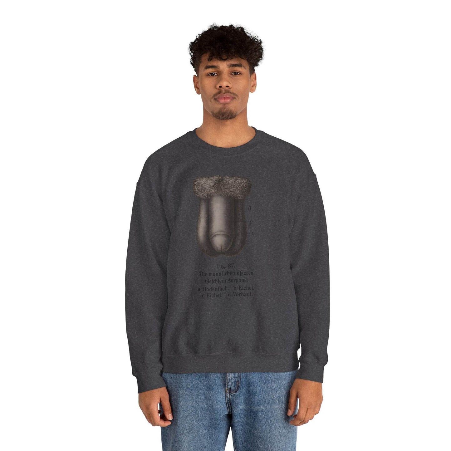 Anatomie Sweatshirt – Fig. 87: Die männlichen äußeren Geschlechtsorgane | Bildungswitz & Stil - True Insights