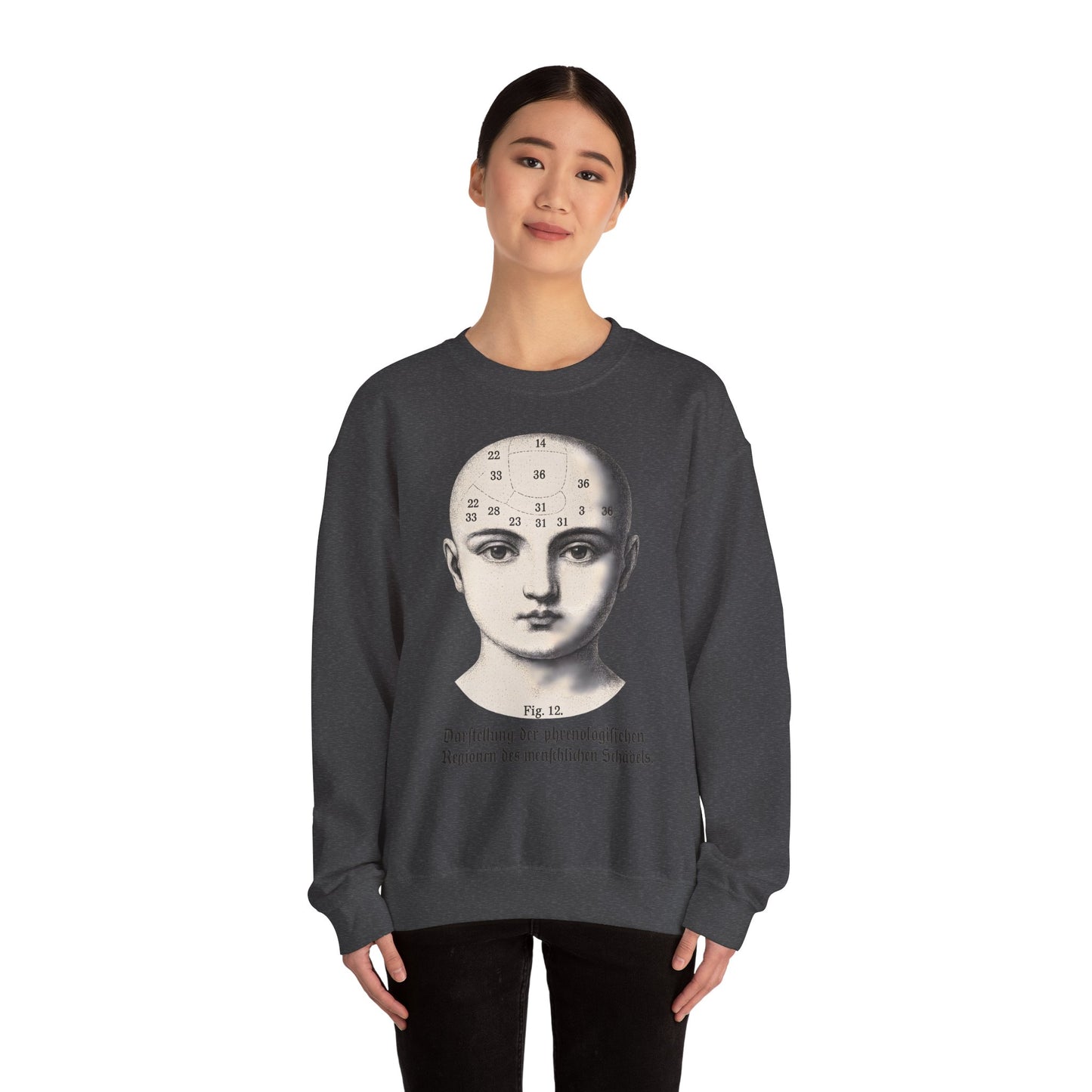 Vintage Motiv – Phrenologie Sweatshirt – Vintage-Schädelstudie „Fig. 12“ | True Insights Design mit Humor