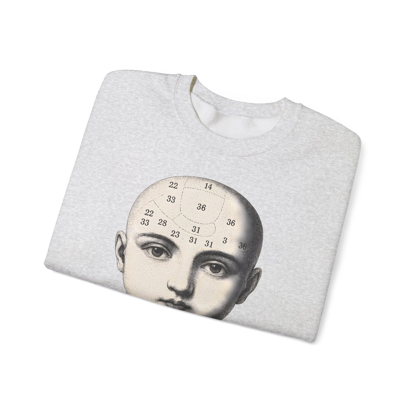 Vintage Motiv – Phrenologie Sweatshirt – Vintage-Schädelstudie „Fig. 12“ | True Insights Design mit Humor
