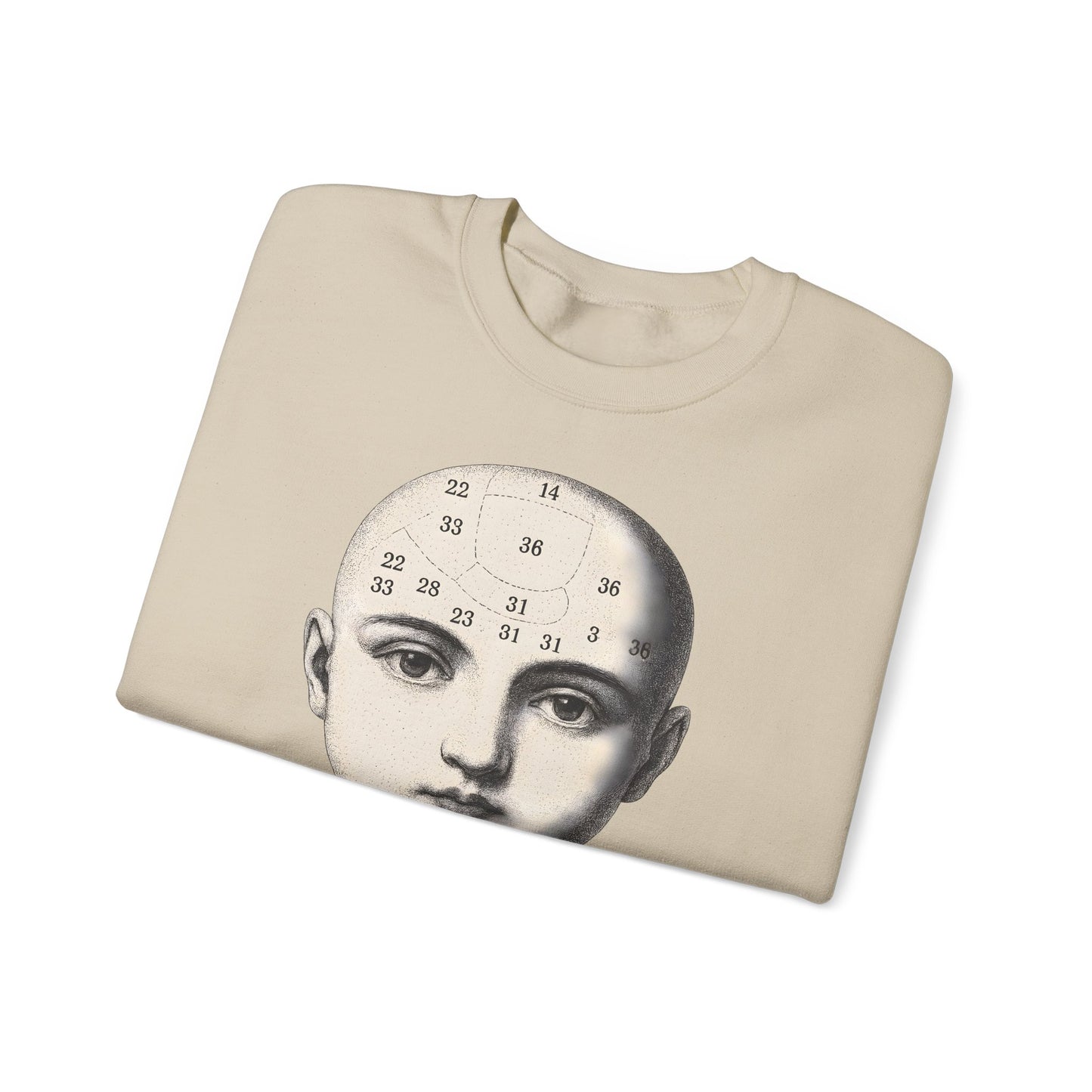 Vintage Motiv – Phrenologie Sweatshirt – Vintage-Schädelstudie „Fig. 12“ | True Insights Design mit Humor