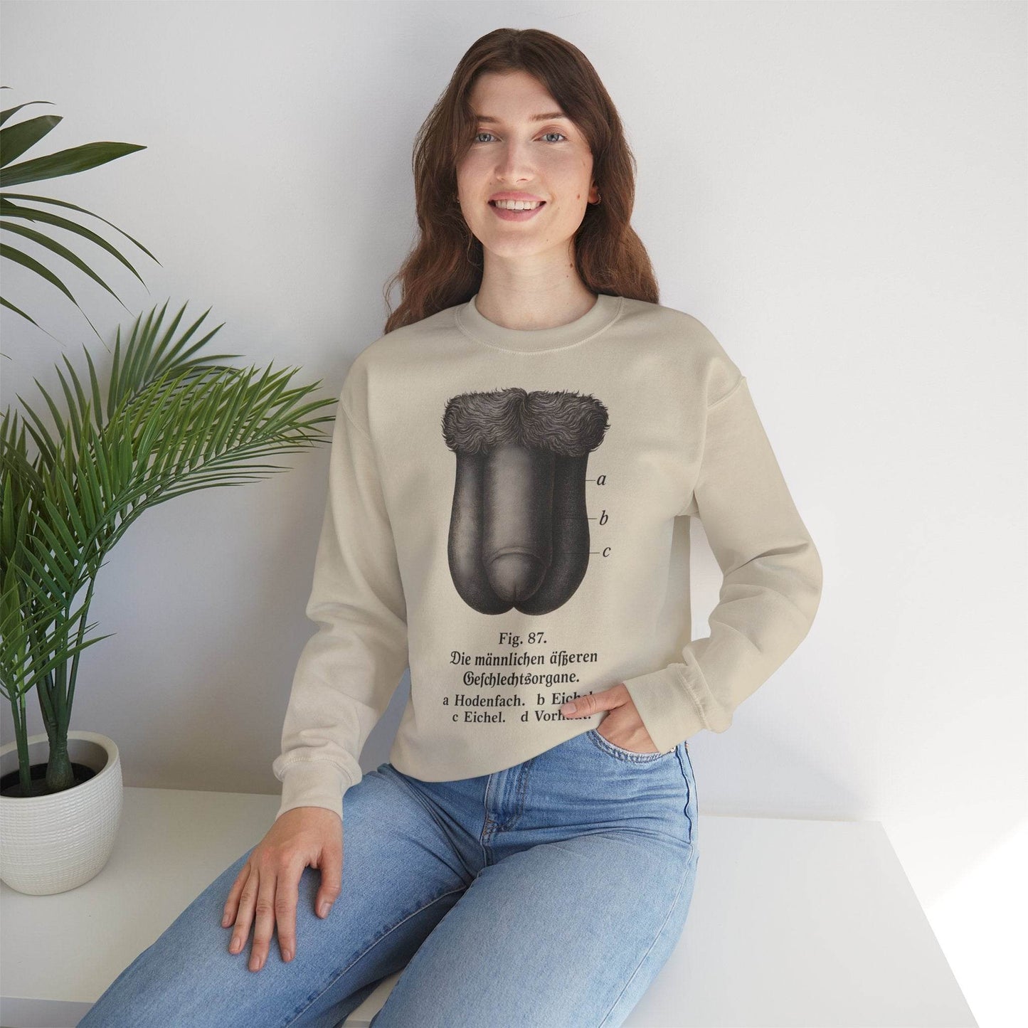 Anatomie Sweatshirt – Fig. 87: Die männlichen äußeren Geschlechtsorgane | Bildungswitz & Stil - True Insights