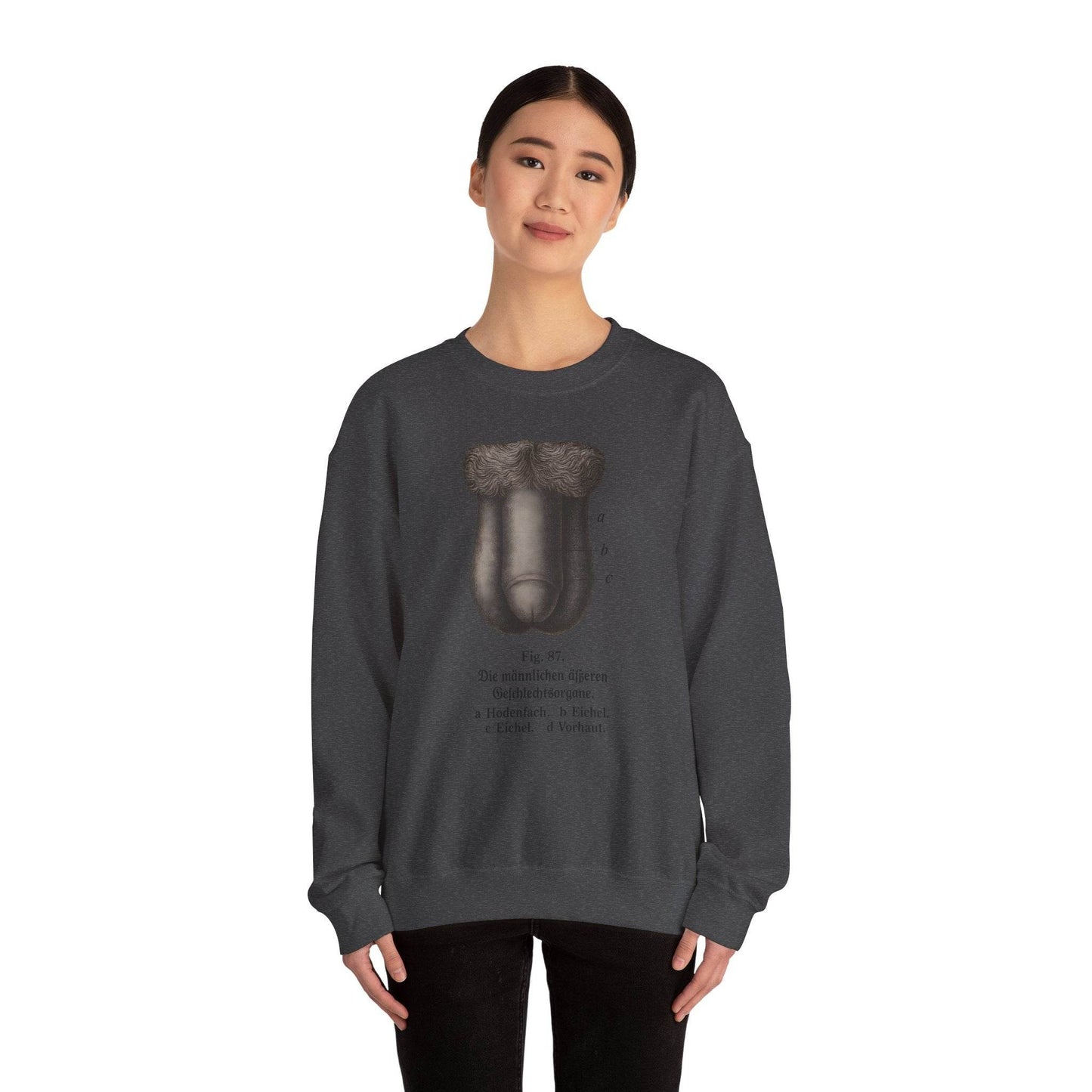 Anatomie Sweatshirt – Fig. 87: Die männlichen äußeren Geschlechtsorgane | Bildungswitz & Stil - True Insights