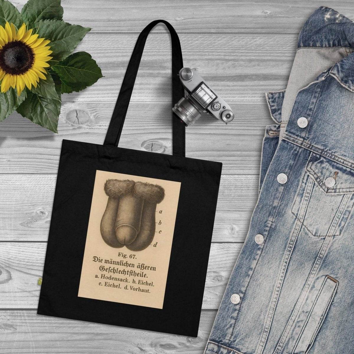 Vintage Motiv – Anatomie Tote Bag – Fig. 87: Die männlichen Geschlechtsorgane | Aufklärung to go | True Insights Design mit Humor
