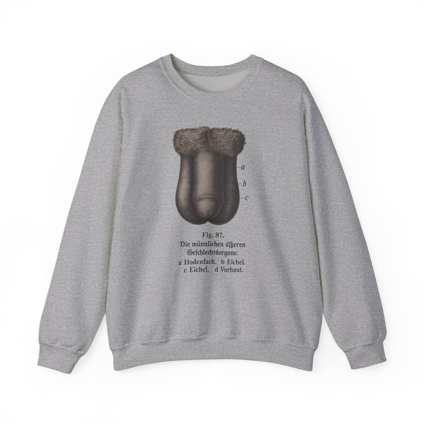Anatomie Sweatshirt – Fig. 87: Die männlichen äußeren Geschlechtsorgane | Bildungswitz & Stil - True Insights