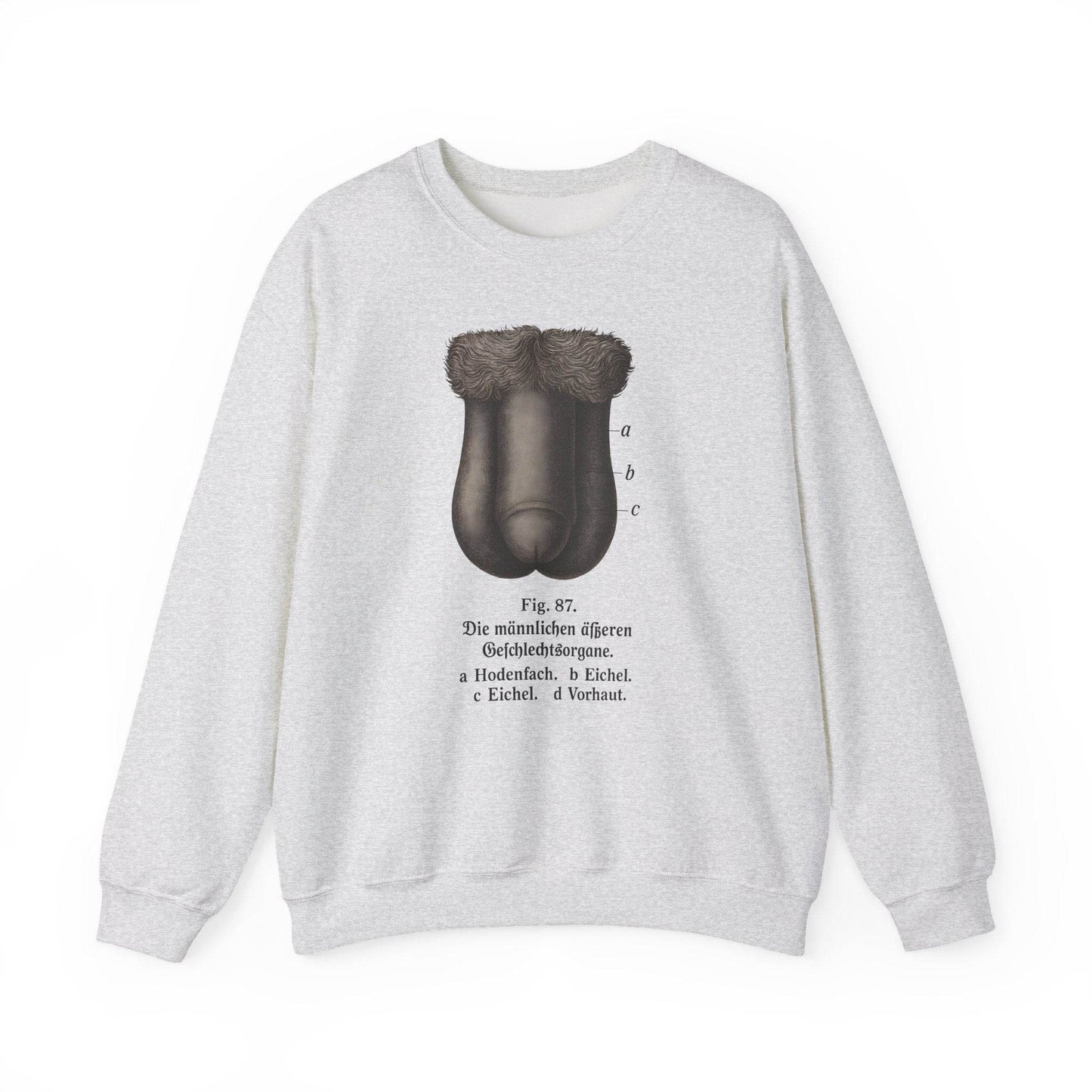 Anatomie Sweatshirt – Fig. 87: Die männlichen äußeren Geschlechtsorgane | Bildungswitz & Stil - True Insights