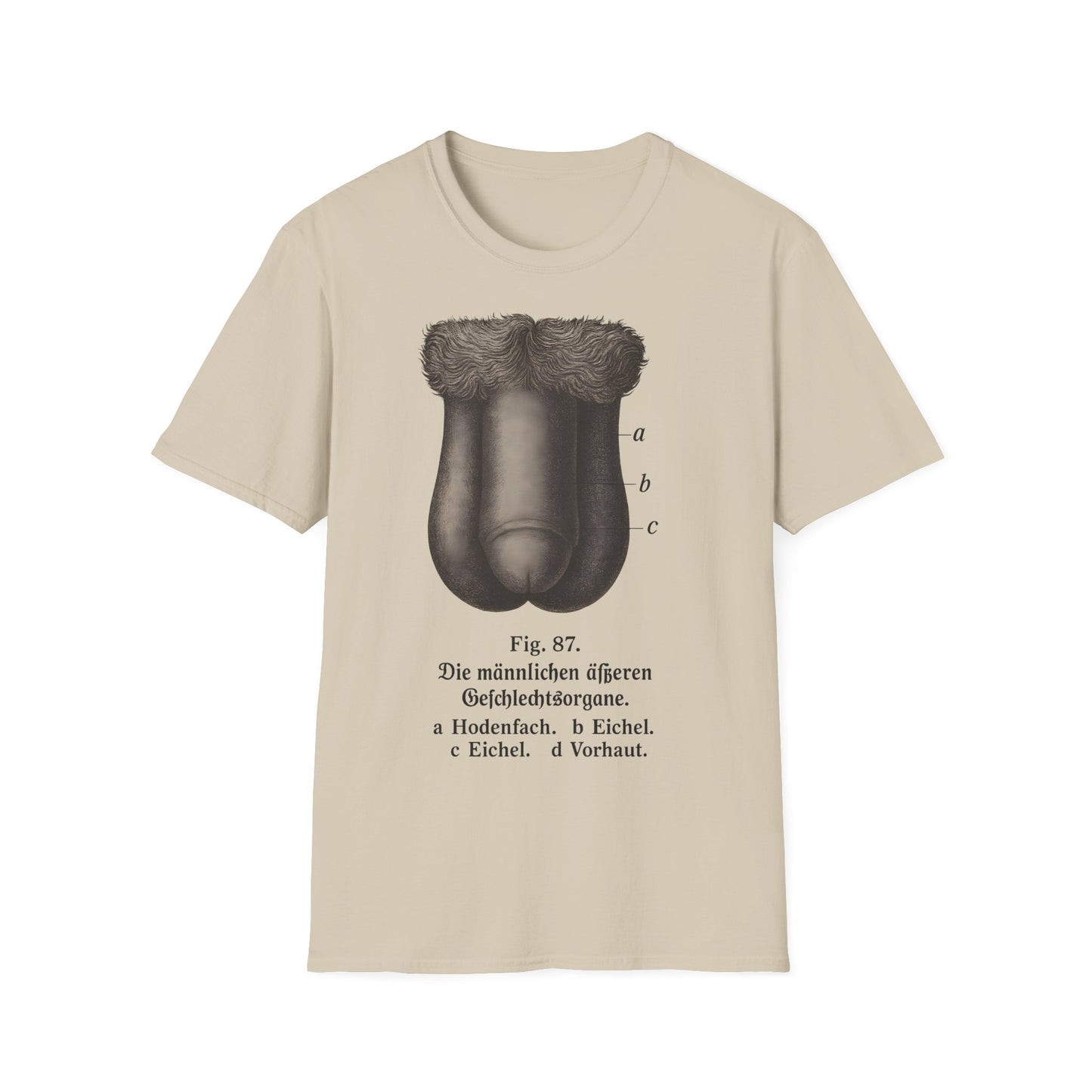 T-Shirt: „Fig. 87 – Die männlichen äußeren Geschlechtsorgane“ – Freches Satire-Design für mutige Statements | True Insights