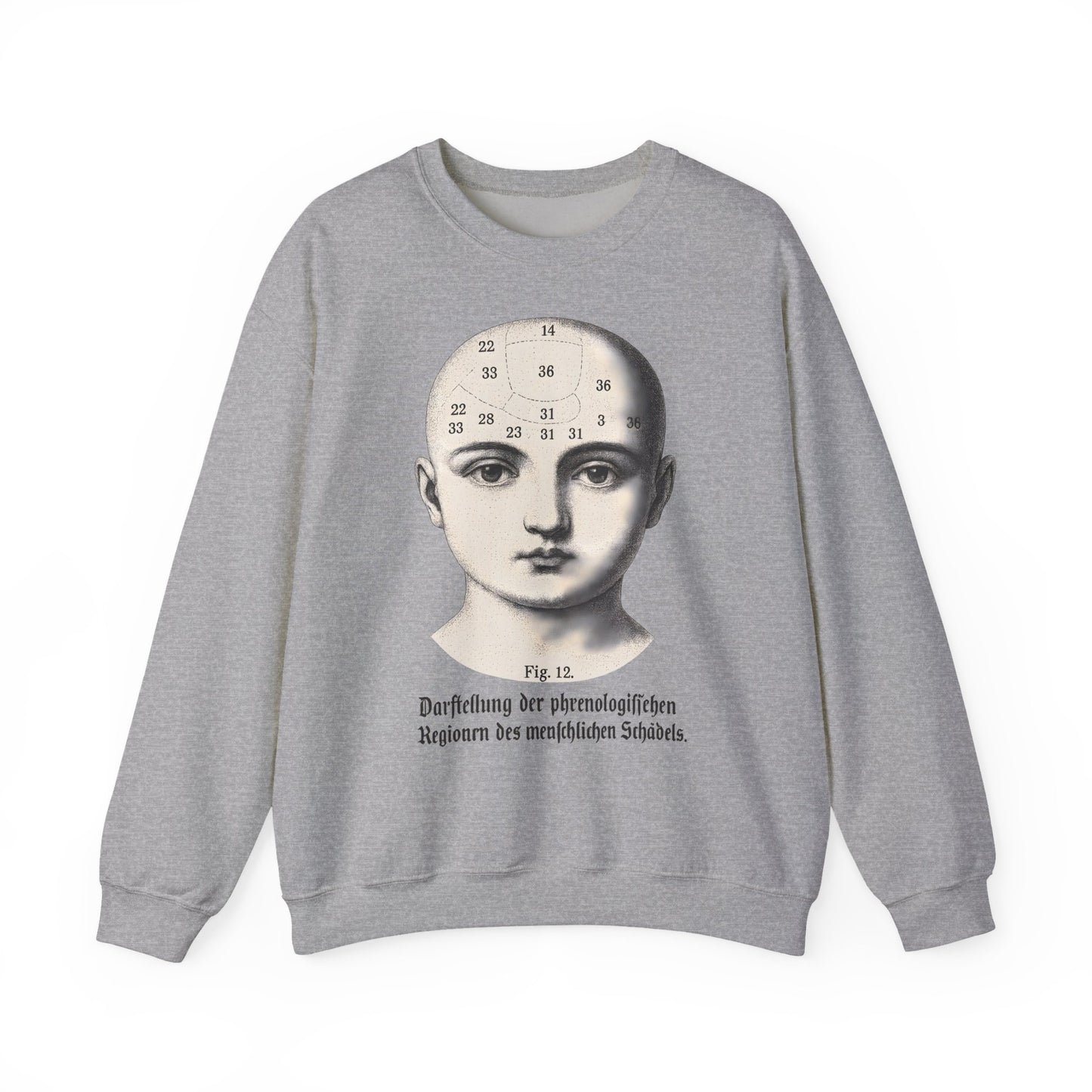 Vintage Motiv – Phrenologie Sweatshirt – Vintage-Schädelstudie „Fig. 12“ | True Insights Design mit Humor