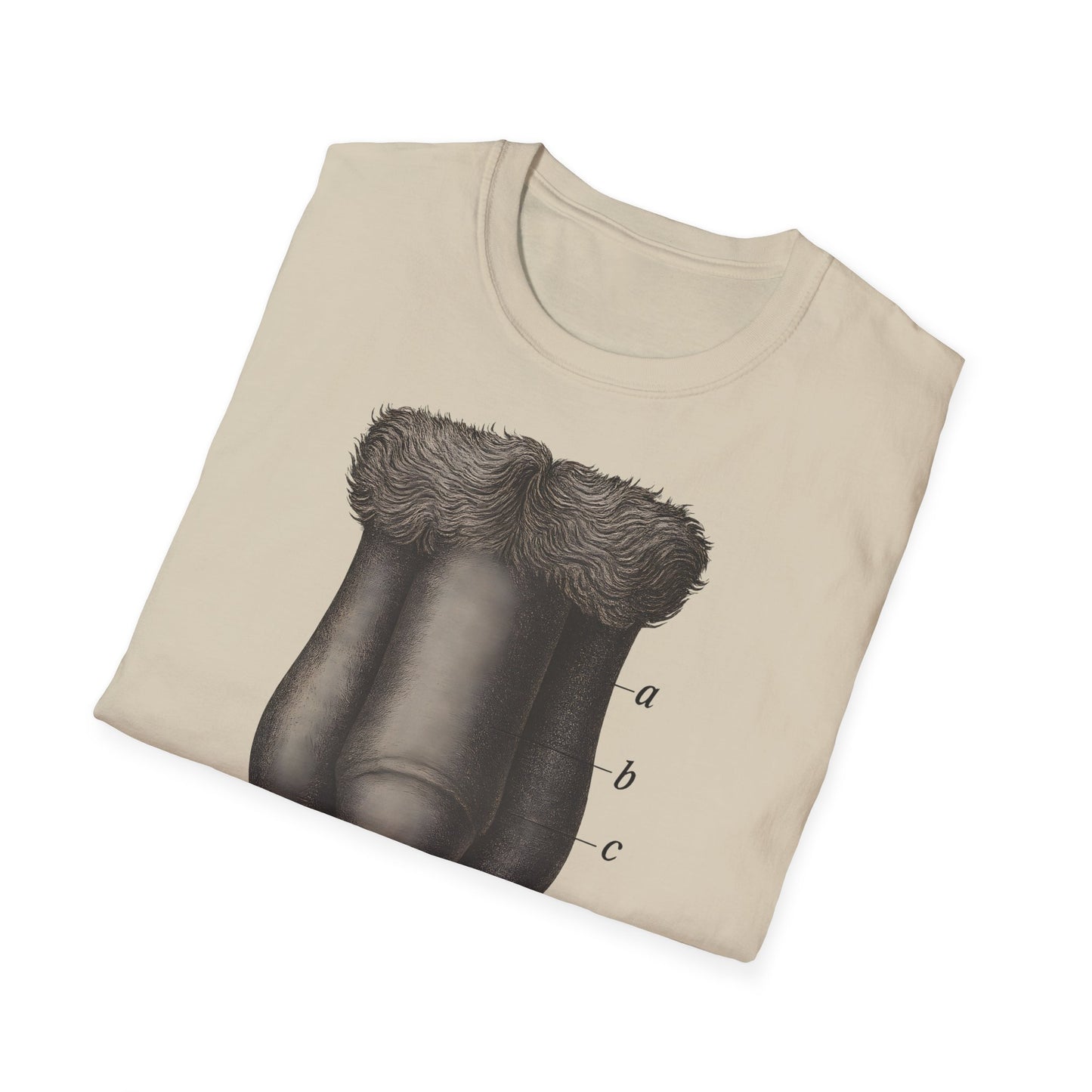 T-Shirt: „Fig. 87 – Die männlichen äußeren Geschlechtsorgane“ – Freches Satire-Design für mutige Statements | True Insights