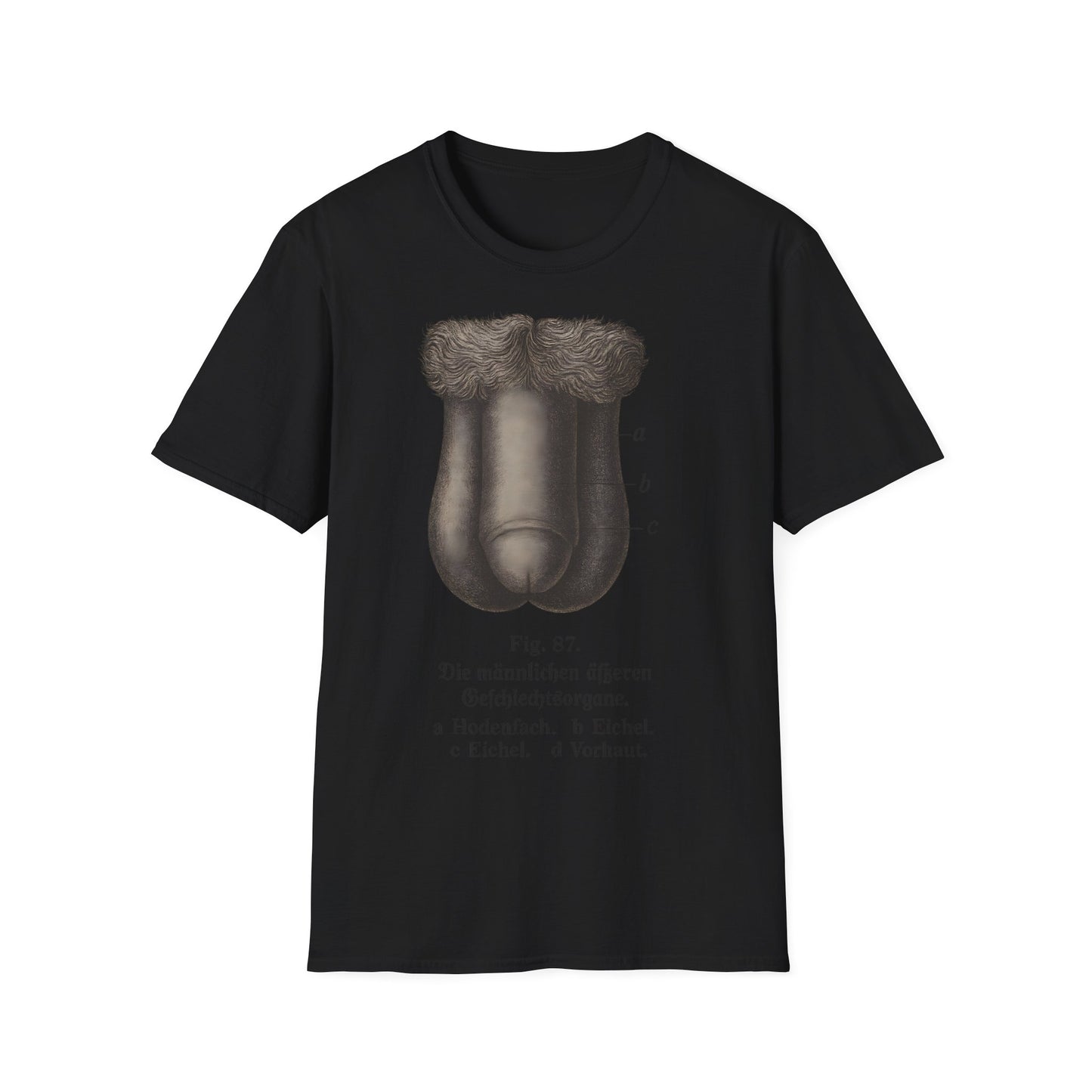 T-Shirt: „Fig. 87 – Die männlichen äußeren Geschlechtsorgane“ – Freches Satire-Design für mutige Statements | True Insights