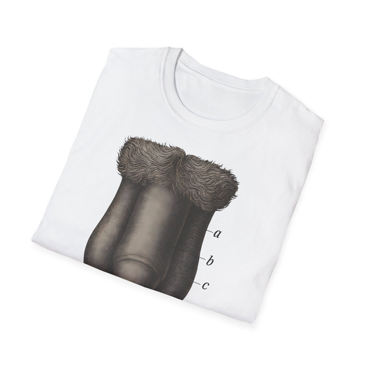 T-Shirt: „Fig. 87 – Die männlichen äußeren Geschlechtsorgane“ – Freches Satire-Design für mutige Statements | True Insights