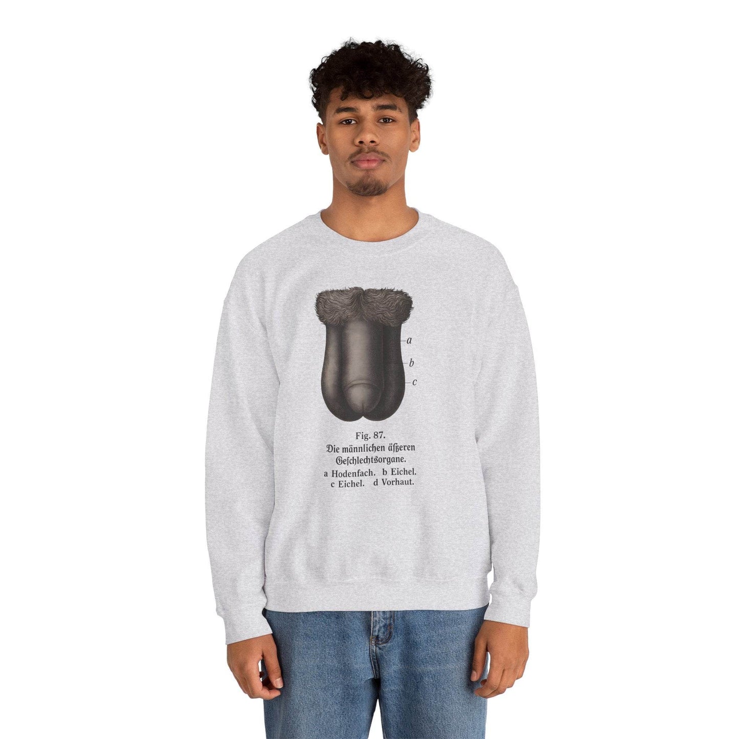 Anatomie Sweatshirt – Fig. 87: Die männlichen äußeren Geschlechtsorgane | Bildungswitz & Stil - True Insights