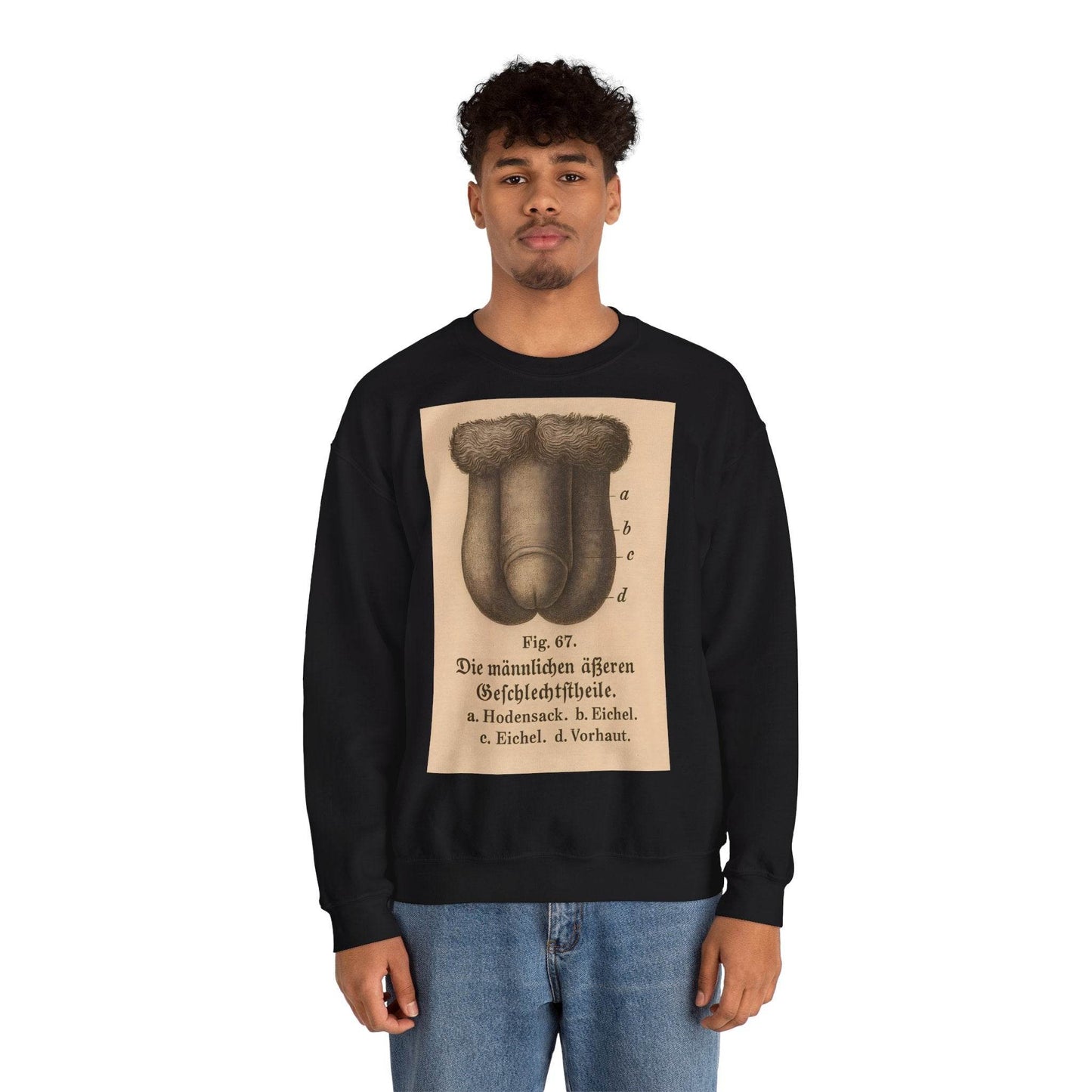 Anatomie Sweatshirt – Fig. 87: Die männlichen äußeren Geschlechtsorgane | Bildungswitz & Stil - True Insights