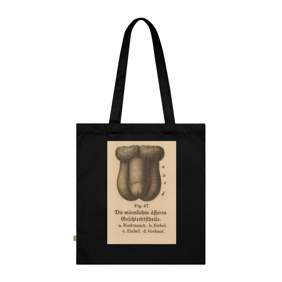 Vintage Motiv – Anatomie Tote Bag – Fig. 87: Die männlichen Geschlechtsorgane | Aufklärung to go | True Insights Design mit Humor