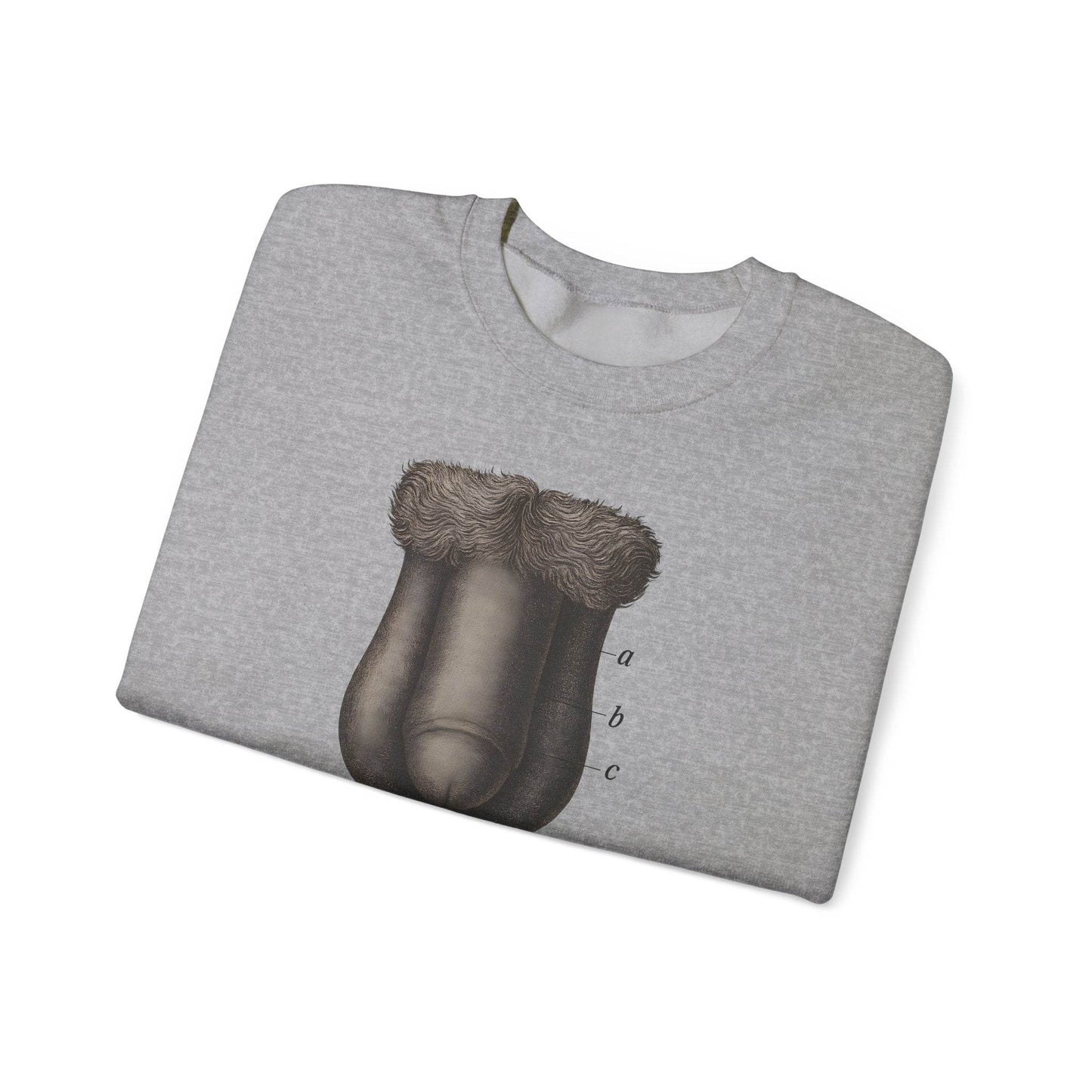 Anatomie Sweatshirt – Fig. 87: Die männlichen äußeren Geschlechtsorgane | Bildungswitz & Stil - True Insights