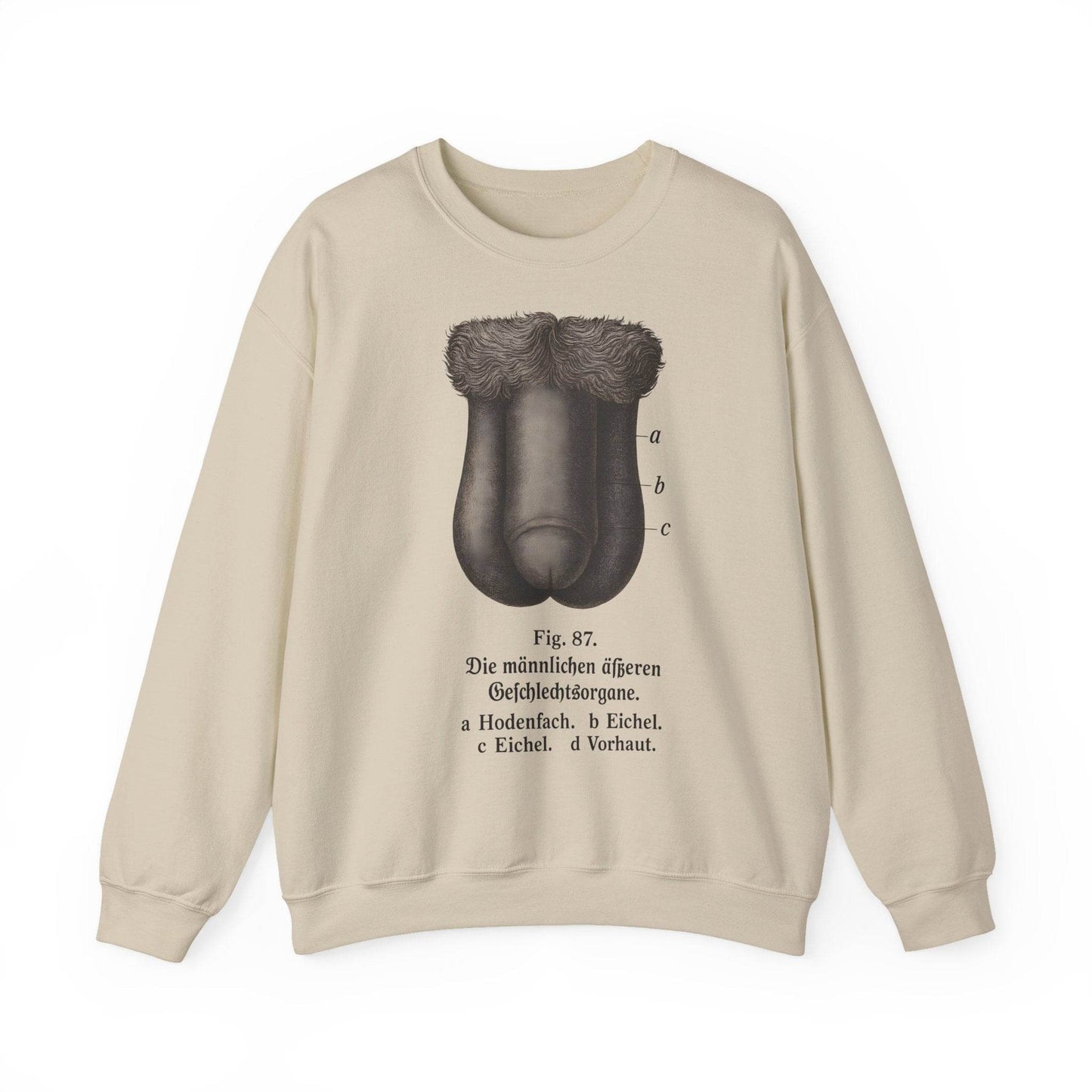 Anatomie Sweatshirt – Fig. 87: Die männlichen äußeren Geschlechtsorgane | Bildungswitz & Stil - True Insights