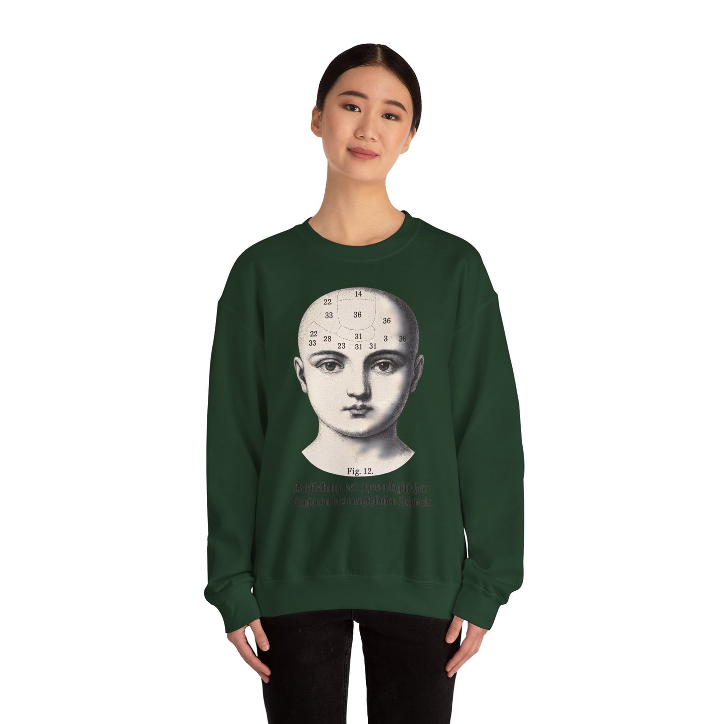 Vintage Motiv – Phrenologie Sweatshirt – Vintage-Schädelstudie „Fig. 12“ | True Insights Design mit Humor