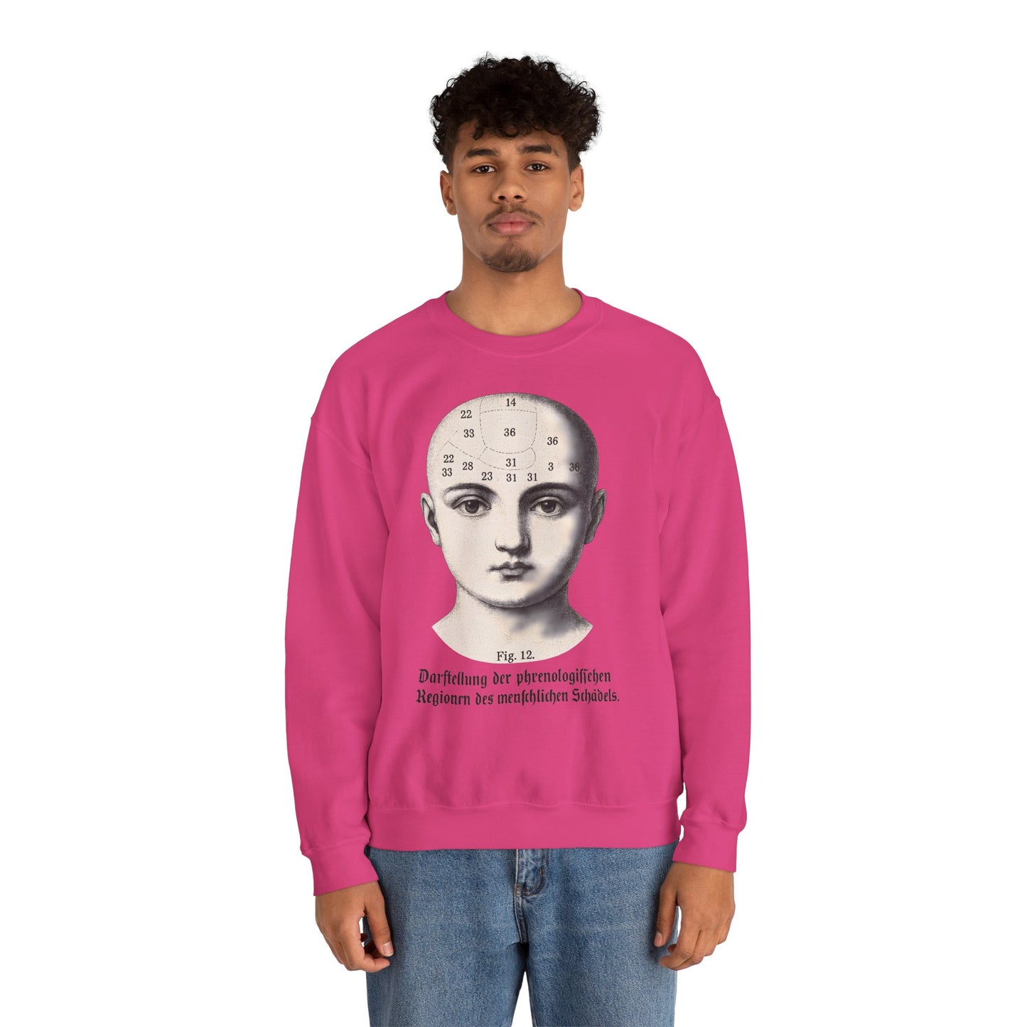 Vintage Motiv – Phrenologie Sweatshirt – Vintage-Schädelstudie „Fig. 12“ | True Insights Design mit Humor