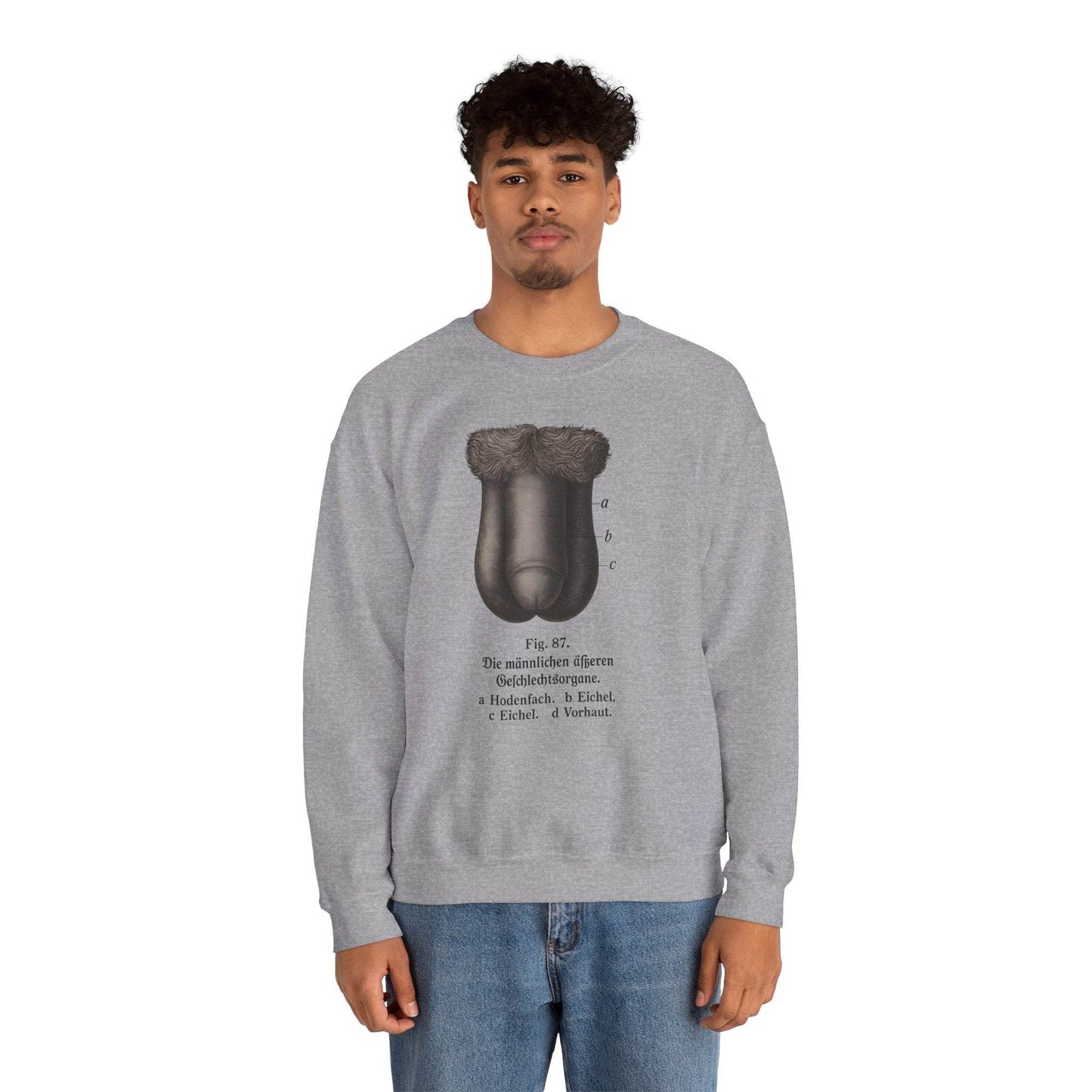 Anatomie Sweatshirt – Fig. 87: Die männlichen äußeren Geschlechtsorgane | Bildungswitz & Stil - True Insights