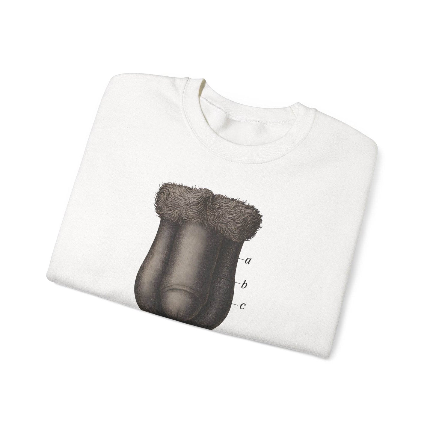 Anatomie Sweatshirt – Fig. 87: Die männlichen äußeren Geschlechtsorgane | Bildungswitz & Stil - True Insights