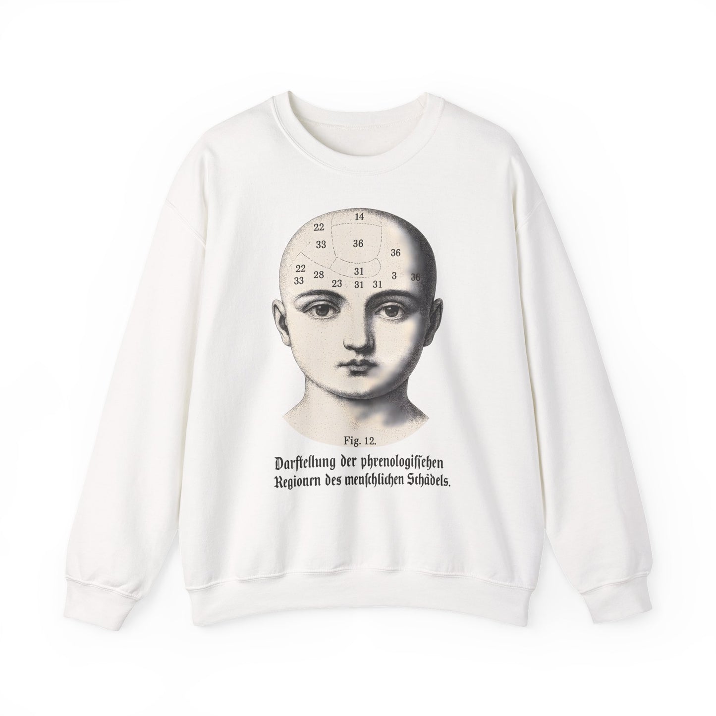 Vintage Motiv – Phrenologie Sweatshirt – Vintage-Schädelstudie „Fig. 12“ | True Insights Design mit Humor