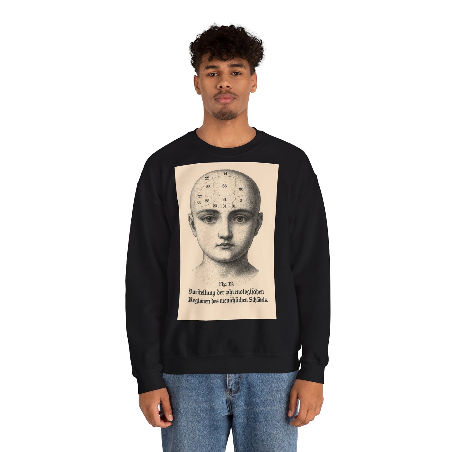 Vintage Motiv – Phrenologie Sweatshirt – Vintage-Schädelstudie „Fig. 12“ | True Insights Design mit Humor