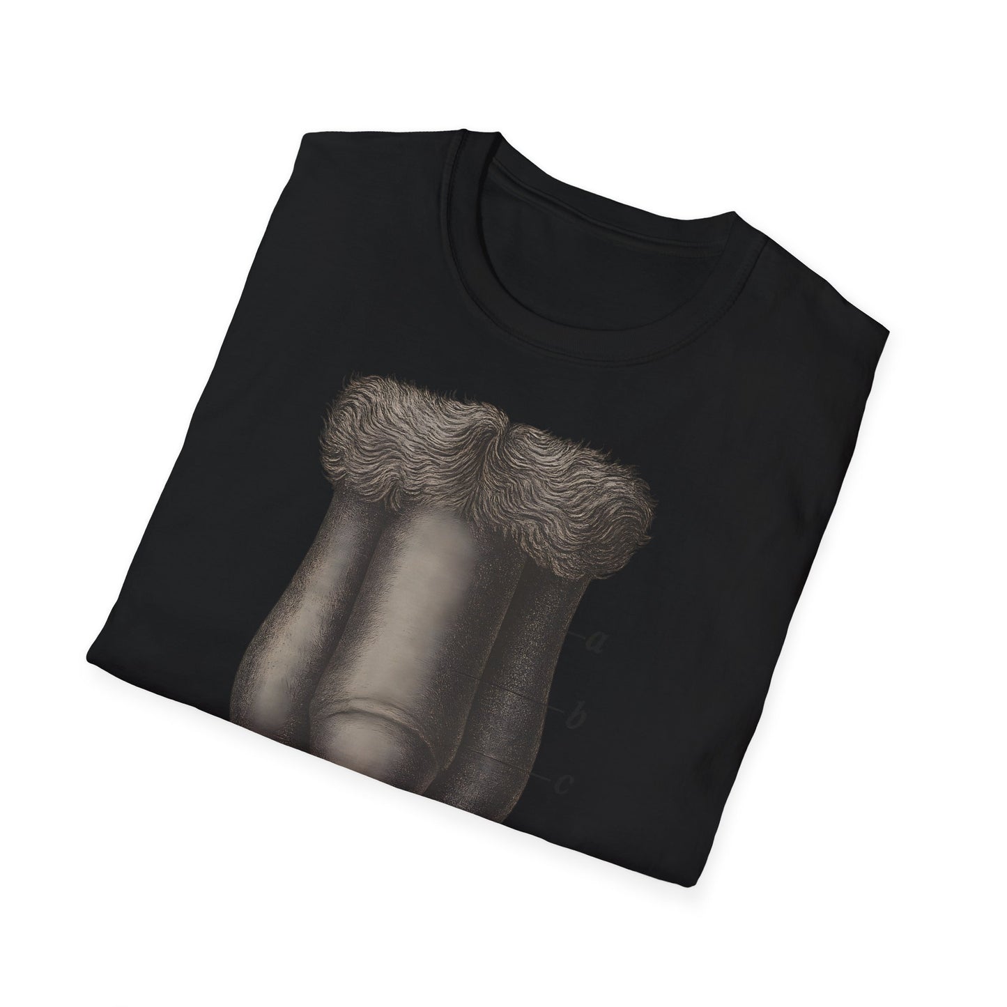 T-Shirt: „Fig. 87 – Die männlichen äußeren Geschlechtsorgane“ – Freches Satire-Design für mutige Statements | True Insights