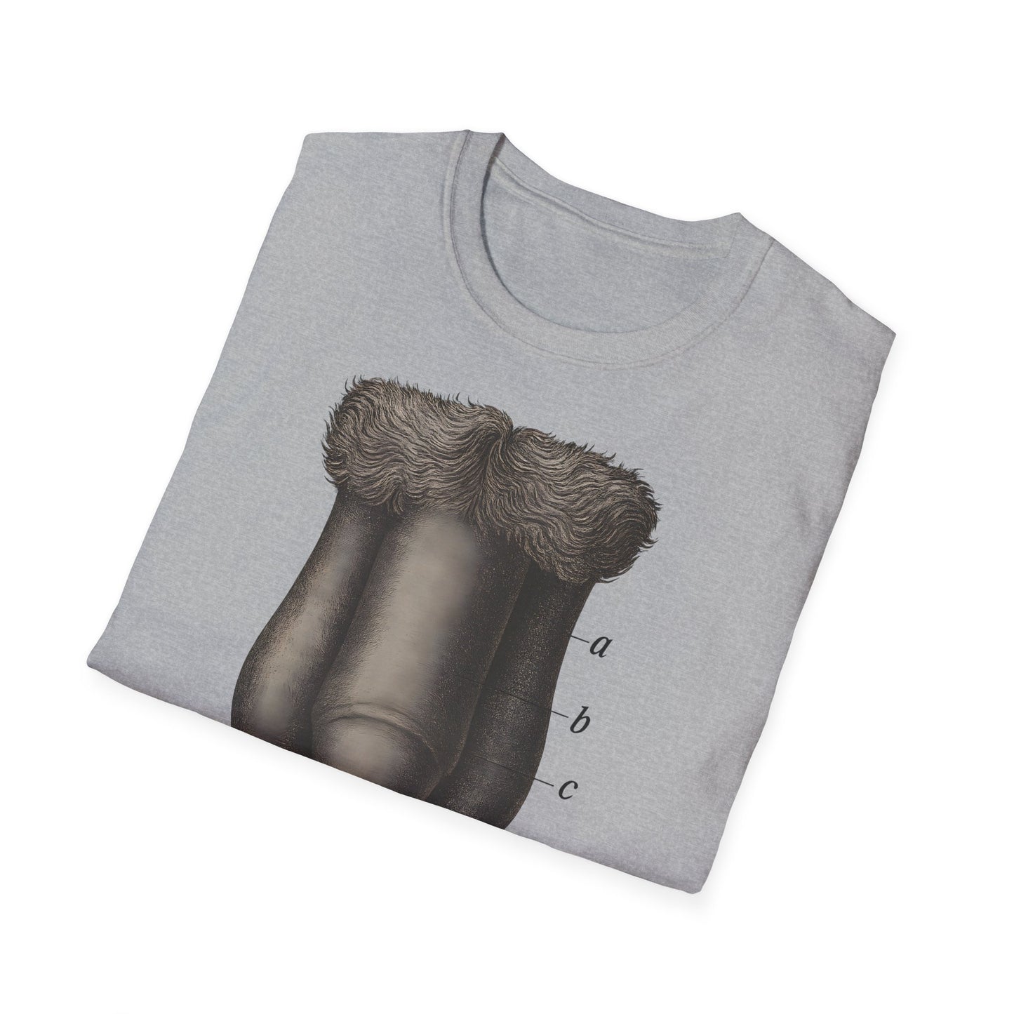 T-Shirt: „Fig. 87 – Die männlichen äußeren Geschlechtsorgane“ – Freches Satire-Design für mutige Statements | True Insights