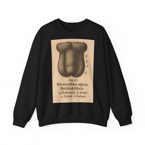 Anatomy Sweatshirt – Fig. 87: The Male External Genital Organs | Educational Humor & Style