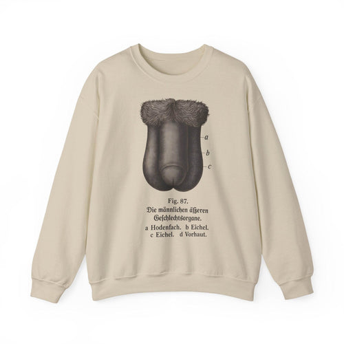 Anatomy Sweatshirt – Fig. 87: The Male External Genital Organs | Educational Humor & Style