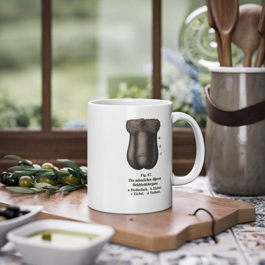 Vintage Motiv – Anatomie Tasse – Fig. 87: Die männlichen Geschlechtsorgane | Ironischer Wachmacher | True Insights Design mit Humor
