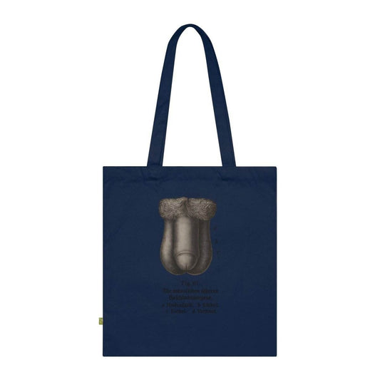 Vintage Motiv – Anatomie Tote Bag – Fig. 87: Die männlichen Geschlechtsorgane | Aufklärung to go | True Insights Design mit Humor