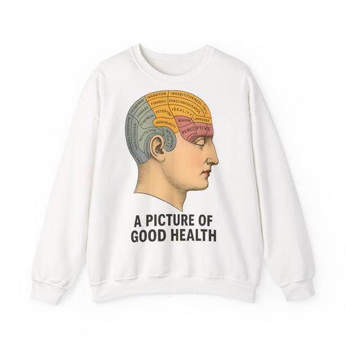 Das aschgraue Sweatshirt zeigt in Frontansicht ein phrenologisches Hirnmotiv mit farblich abgesetzten Arealen, von True Insights.