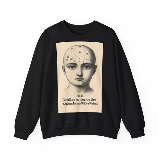 Vintage Motiv – Phrenologie Sweatshirt – Vintage-Schädelstudie „Fig. 12“ | True Insights Design mit Humor