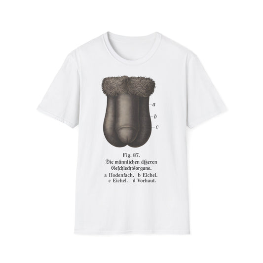 T-Shirt: „Fig. 87 – Die männlichen äußeren Geschlechtsorgane“ – Freches Satire-Design für mutige Statements | True Insights