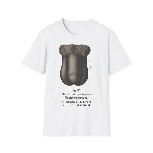 T-Shirt: “Fig. 87 – The male external genitalia”