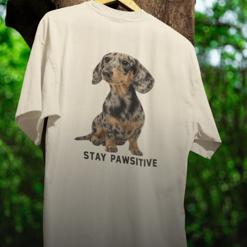 Stay Pawsitive