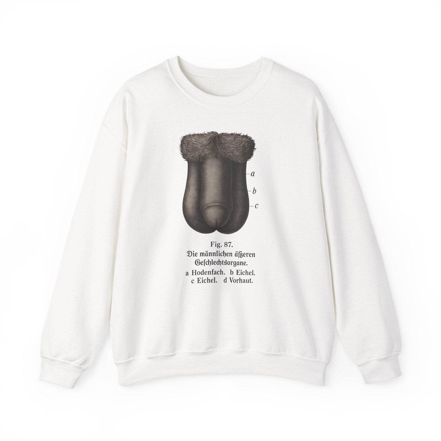 Anatomie Sweatshirt – Fig. 87: Die männlichen äußeren Geschlechtsorgane | Bildungswitz & Stil - True Insights