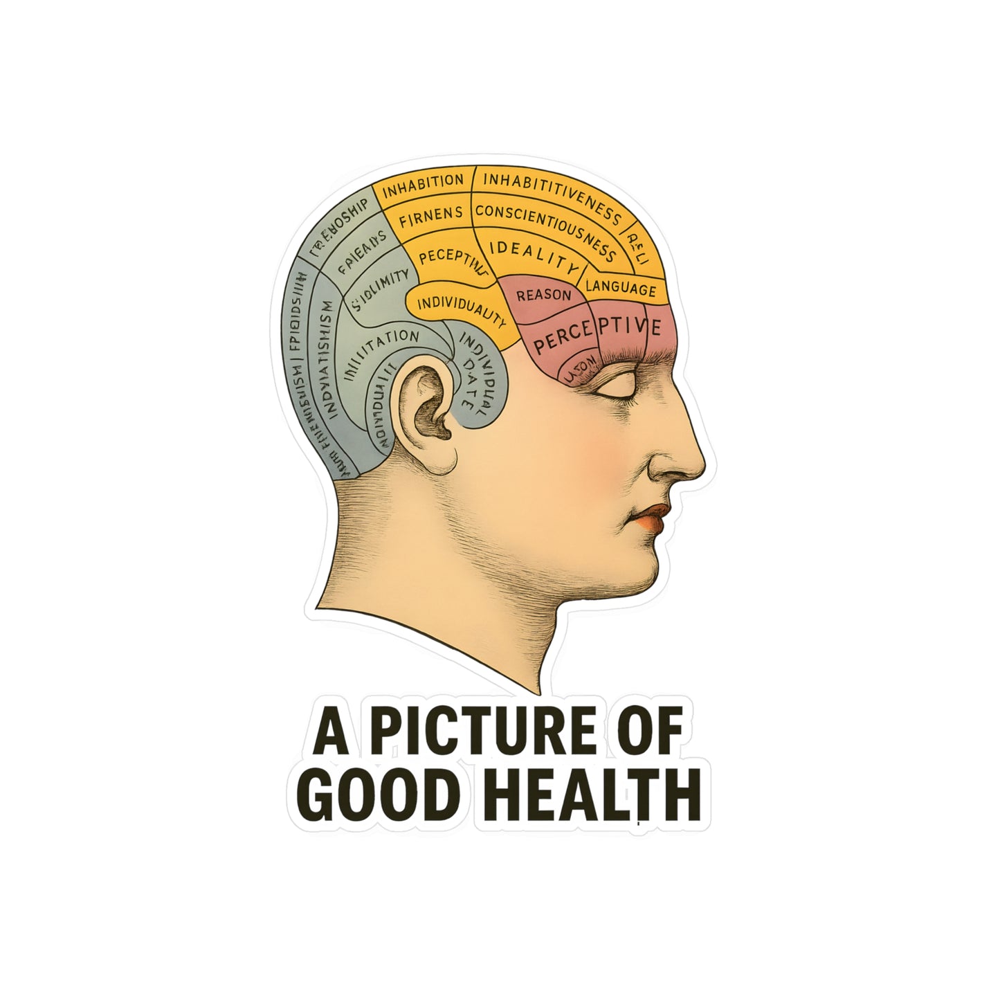 Phrenologie Kopf Sticker Vintage Anatomie A Picture of Good Health