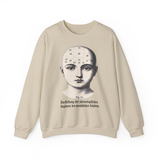 Vintage Motiv – Phrenologie Sweatshirt – Vintage-Schädelstudie „Fig. 12“ | True Insights Design mit Humor