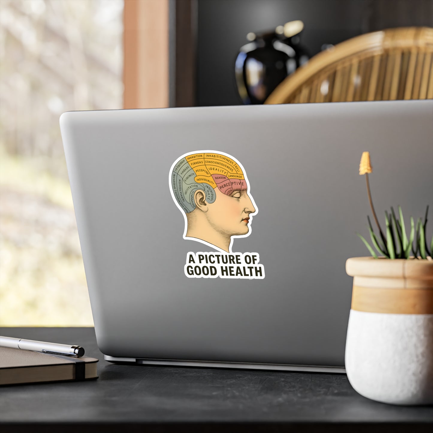 Phrenologie Kopf Sticker Vintage Anatomie A Picture of Good Health