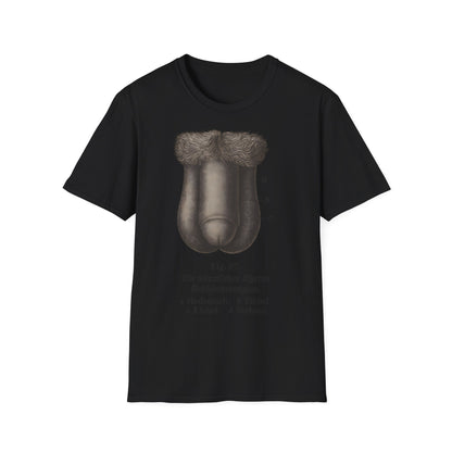 T-Shirt: „Fig. 87 – Die männlichen äußeren Geschlechtsorgane“ – Freches Satire-Design für mutige Statements | True Insights