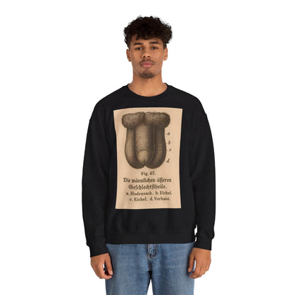 Anatomie Sweatshirt – Fig. 87: Die männlichen äußeren Geschlechtsorgane | Bildungswitz & Stil - True Insights