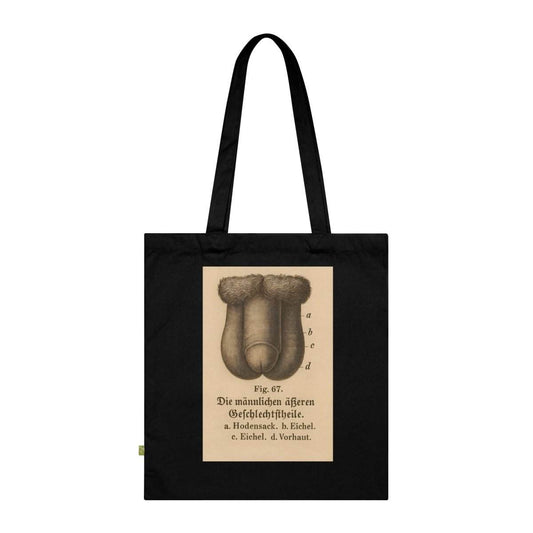 Vintage Motiv – Anatomie Tote Bag – Fig. 87: Die männlichen Geschlechtsorgane | Aufklärung to go | True Insights Design mit Humor