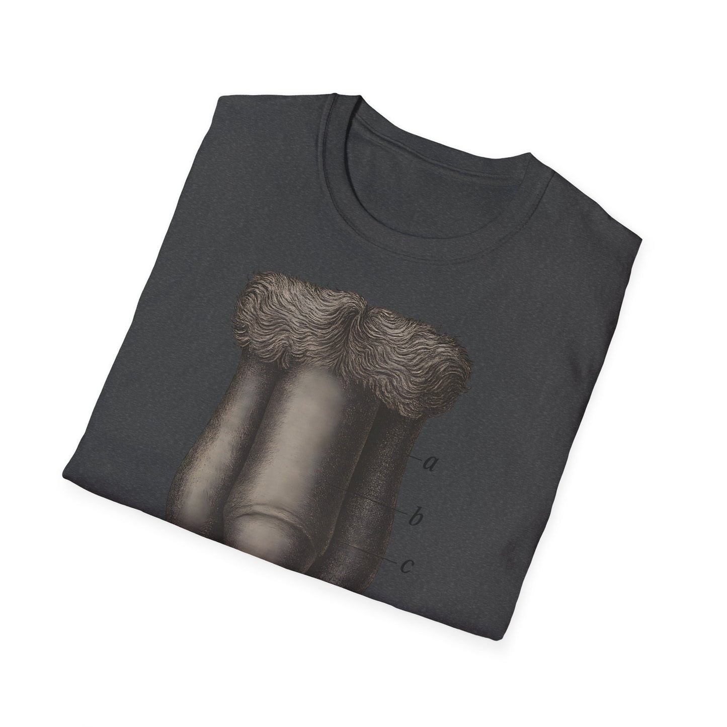 T-Shirt: „Fig. 87 – Die männlichen äußeren Geschlechtsorgane“ – Freches Satire-Design für mutige Statements | True Insights