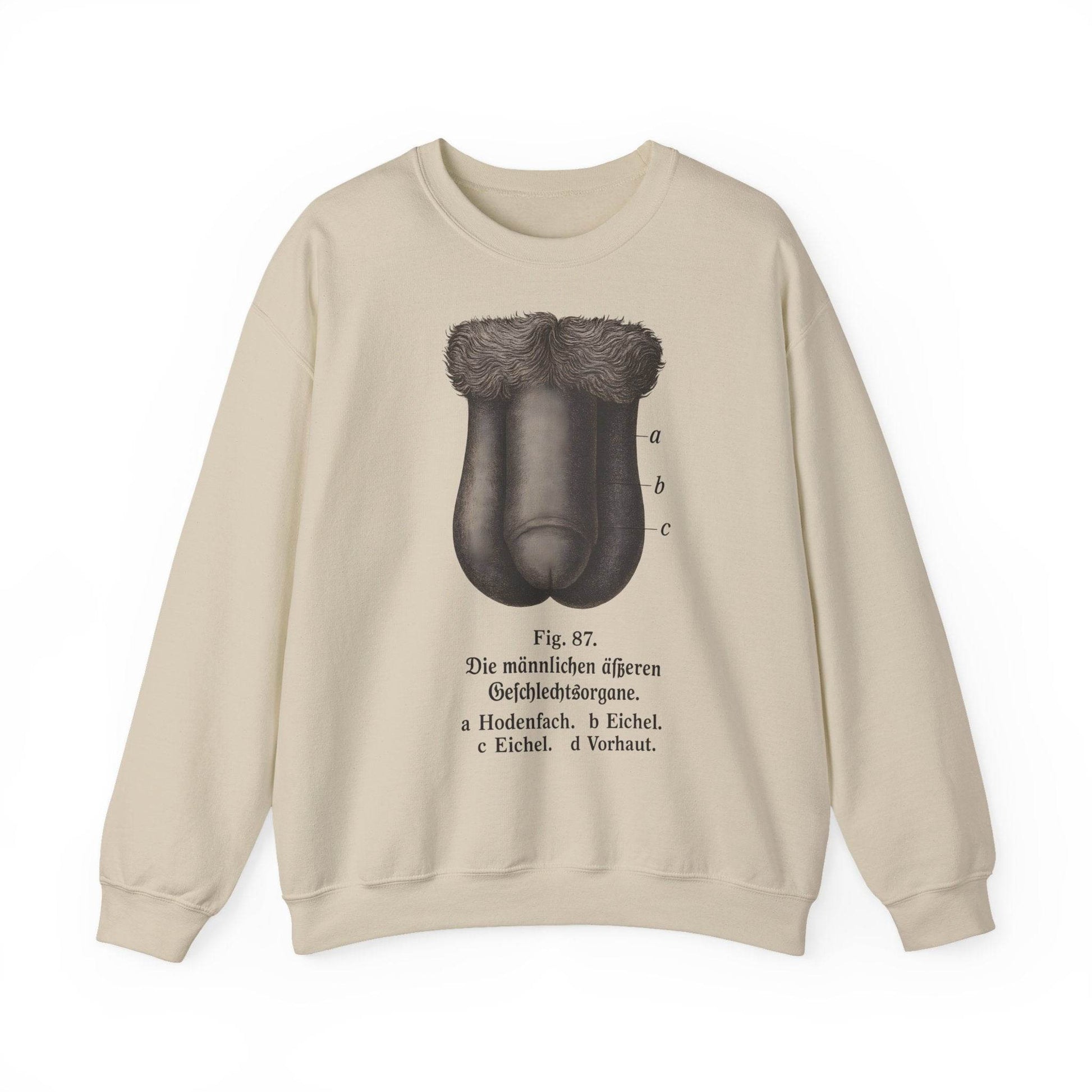 Anatomie Sweatshirt – Fig. 87: Die männlichen äußeren Geschlechtsorgane | Bildungswitz & Stil - True Insights
