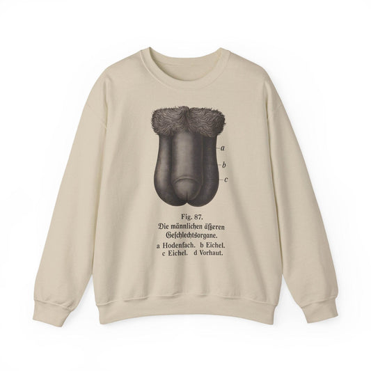 Anatomie Sweatshirt – Fig. 87: Die männlichen äußeren Geschlechtsorgane | Bildungswitz & Stil - True Insights