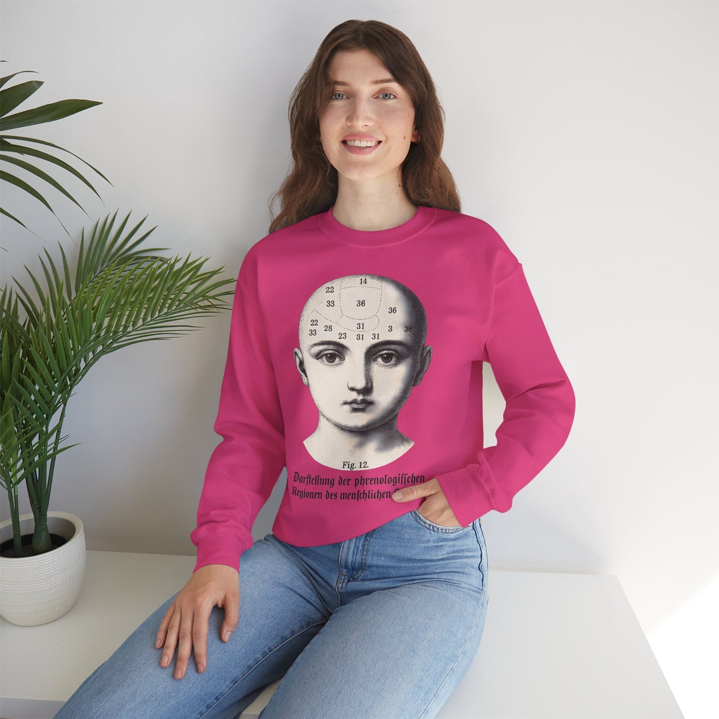 Vintage Motiv – Phrenologie Sweatshirt – Vintage-Schädelstudie „Fig. 12“ | True Insights Design mit Humor